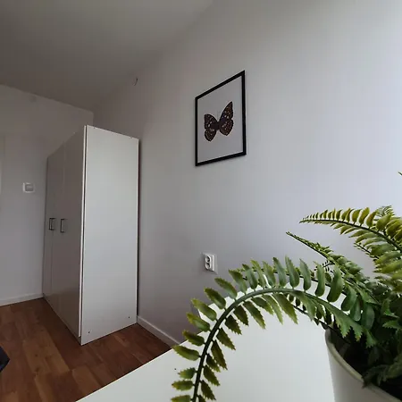 3pokojowe Mieszkanie Zabianka