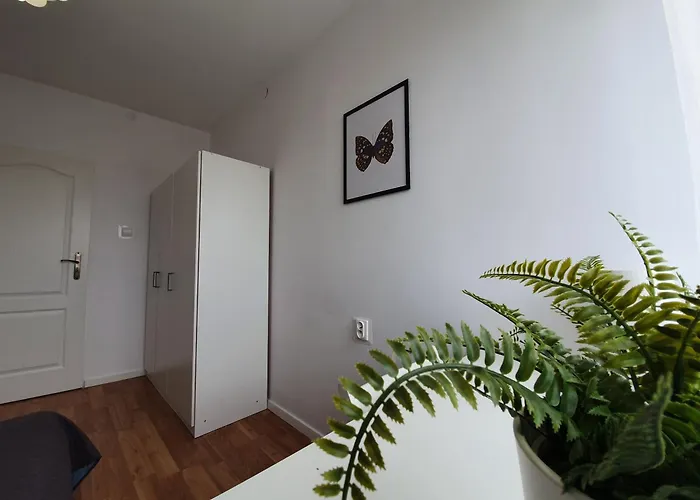 3pokojowe Mieszkanie Zabianka